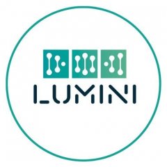 LUMINI_logo